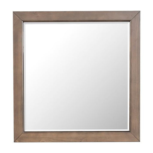 Bracco Mirror in Rustic Brown 1769-6 image